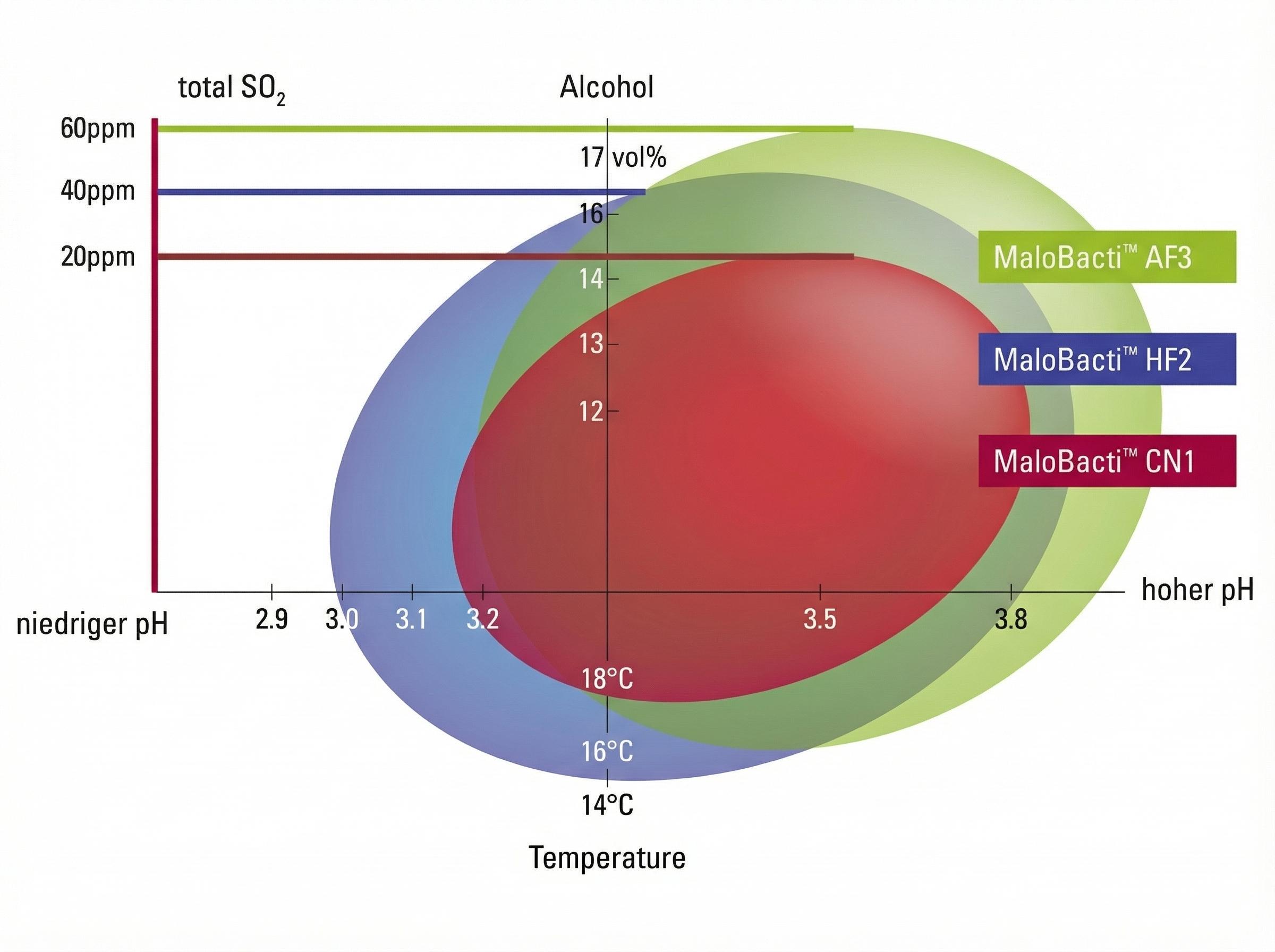 Diagramm, das die optimalen Arbeitsbereiche für drei MaloBacti™ Kulturen darstellt. Die X-Achse zeigt den pH-Wert von niedrig (2.9) bis hoch (3.8) und die Temperatur von 14°C bis 18°C. Die Y-Achse zeigt den Gesamt-SO2-Gehalt von 20ppm bis 60ppm und den Alkoholgehalt von 12 vol% bis 17 vol%. MaloBacti™ AF3 ist als grüne, ovale Fläche dargestellt, MaloBacti™ HF2 als blaue, ovale Fläche und MaloBacti™ CN1 als rote, ovale Fläche. Horizontale Linien markieren SO2-Werte von 20ppm, 40ppm, 60ppm und Alkoholwerte von 14 vol%, 16 vol%, 17 vol%.